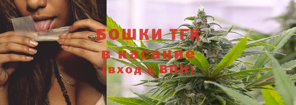 ПСИЛОЦИБИНОВЫЕ ГРИБЫ Баксан