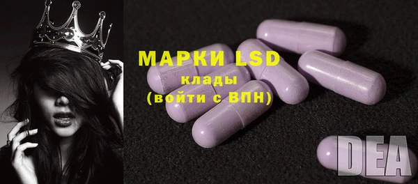 ПСИЛОЦИБИНОВЫЕ ГРИБЫ Баксан