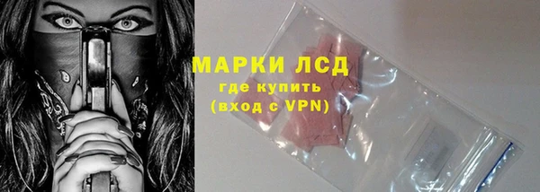 ПСИЛОЦИБИНОВЫЕ ГРИБЫ Баксан