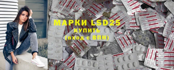 ПСИЛОЦИБИНОВЫЕ ГРИБЫ Баксан