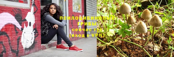 крисы Балабаново