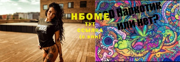 ПСИЛОЦИБИНОВЫЕ ГРИБЫ Баксан