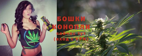 ПСИЛОЦИБИНОВЫЕ ГРИБЫ Баксан