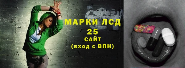 ПСИЛОЦИБИНОВЫЕ ГРИБЫ Баксан
