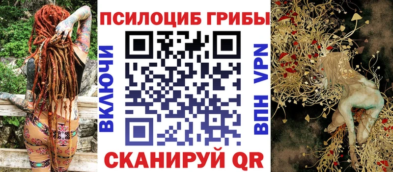 купить закладку  Звенигород  Галлюциногенные грибы GOLDEN TEACHER 